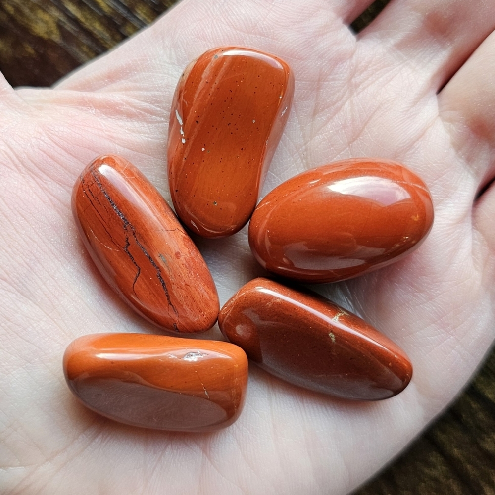 Red Jasper 5 Pc Crystals Tumbled Gemstones